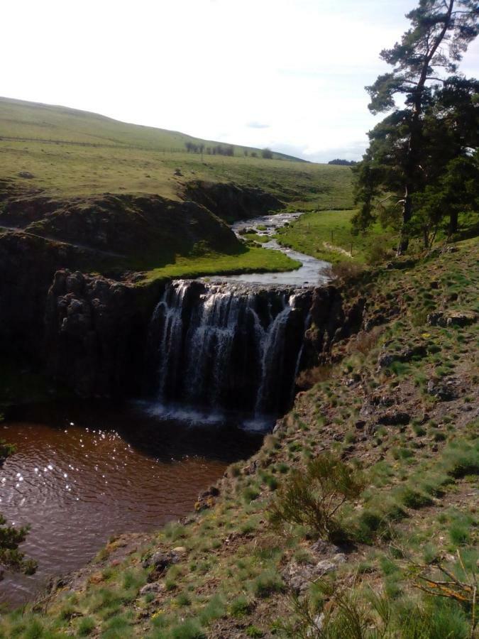 Chez Régine Marcenat (Cantal)